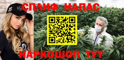мдпв Славгород