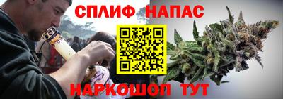 мдпв Славгород