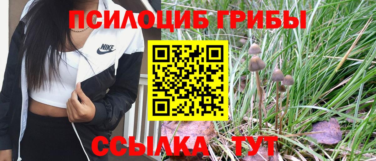 Галлюциногенные грибы Magic Shrooms Моздок